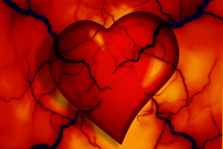 Zioła wzmacniające serce i układ krążenia